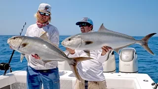 Absolutely INSANE Topwater Amberjack Fishing Action - 4K