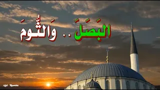 حديث  :  تَأكُلُونَ شَجَرتَيْنِ مَا أرَاهُمَا إِلاَّ خَبِيثَتَيْن  البَصَلَ ، وَالثُّومَ