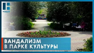 За два месяца жители Тамбова выкопали на клумбах Парка культуры более 100 растений