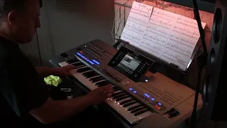 Dromen zijn bedrog - marco Borsato (cover by DannyKey) on Yamaha keyboard Tyros5