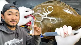 INJECTING FLAVOR INTO FISH | New Method In Japan