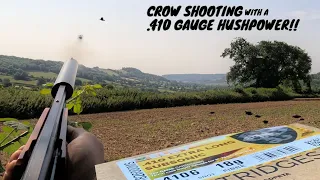 Crow Shooting | .410 Hush Power | Silenced Shotgun