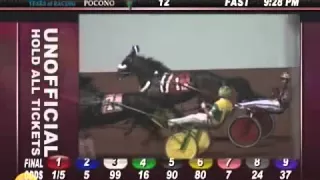 Wiggle It Jiggleit (1:48.0)-The Battle of the Brandywine E.C