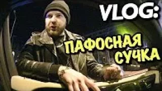 VLOG: МОЯ ПАФОСНАЯ СУЧКА / Андрей Мартыненко