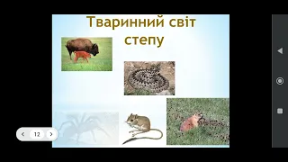 Про що розповідає карта природних зон України? 4 клас