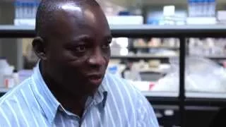 Dr Martin Ota - 2012 Royal Society Pfizer Exceptional Merit Award Winner