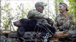 Hunt UNGUIDED: Alaska Black Bear | Bear Archery