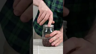 🍫 How to Make a Cocoa Nibs Tincture