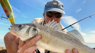 One Lucky Lure catches 16 Bass!