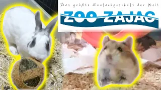 Hamster & Kaninchen Shopping 🐹 Einkauf Haustiere 💖 Zoo Zajac FMA🐰