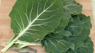 10 Types of Kale And How To Use Them