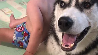 Лучшие друзья/best friends/husky and kids