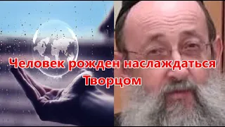 Человек рожден наслаждаться Творцом. Рав Ашер Кушнир