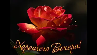 Хорошего и доброго вечера!