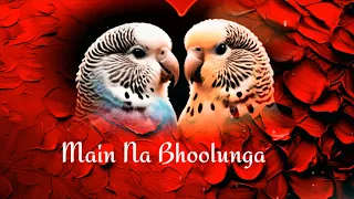 Main na bhulunga song | Lyrics Video