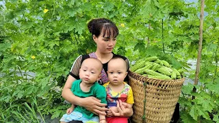 Single Mother: Picking Bitter Melon to Sell at the Market | Happiness with two children