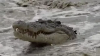 People, crocodiles & vehicles at Cahill's Crossing in the Top End