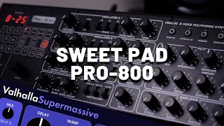 Sweet pad sound with Behringer Pro-800 (no talking)