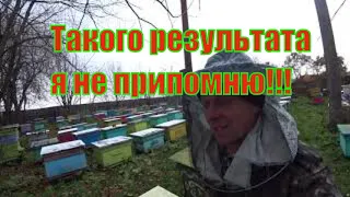 ОСЕННЯЯ ОБРАБОТКА ОТ КЛЕЩА ВАРРОА, ТАКОГО РЕЗУЛЬТАТА Я НЕ ПРИПОМНЮ