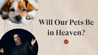 Will Our Pets Be in Heaven?