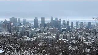 Montreal Downtown in winter 🇨🇦 ❄️