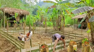 Build vegetable garden fence , simple life, Green life HT. Ep14