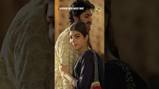 Kiya Kar Rahi....Koi Dekh Lega....? #kinzahashmi #sidraniazi #adnansiddiqui #shorts #humtv