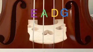 Learn to Read Bass Clef (for Double Bass) in Less than 5 Minutes!