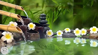 Relaxing Piano Music & Water Sound 🎵 Healing music for the Heart and Blood vessels