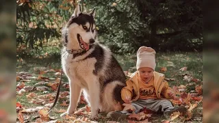 Два брата/хаски и дети/осенняя фотосессия/как нужно позировать