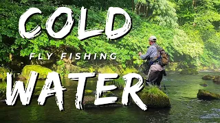 Cold Water FLY FISHING |Chasing Tails| GUN SHOTS or Firecrackers?