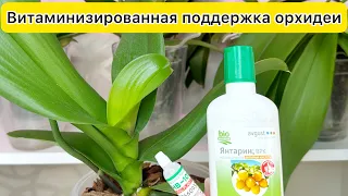 Витамины и Регулятор роста для РОСТА орхидеи и РАЗВИТИЯ корней и листьев орхидеи