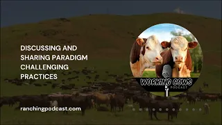 Ep. 051 – Johann Zietsman – Mimicking Nature from Arid Lands to the Tropics | Working Cows