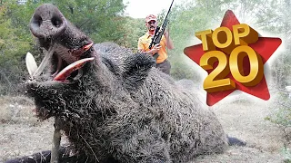 TOP 20 DOMUZ AVI EN İYİ SAHNELER- TOP 20 AMAZING WILD BOAR HUNTS - BEST SCENES, HOG HUNTS - PIG