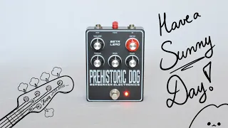 PoP Raws | Berserker Electronics Prehistoric Dog | Sunn Beta Lead PREAMP! | 5 string Jazz Bass DEMO!