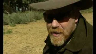 Mythbusters - the Elephant and the Mouse
