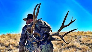 2020 Big Utah General season mule deer!!