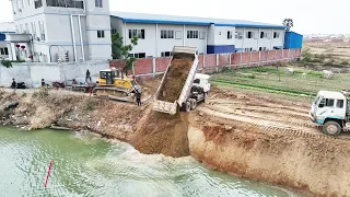 WTF! Technique Skills Driver Truck Dumping Dirt Into Water For Filling In Canal To Build Side Road