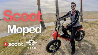 Scoot Moped - New electric moped from Scoot/Bird (Review)