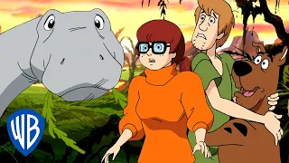 Scooby-Doo! em Português 🇧🇷  | De Volta no Tempo! ⏰ |  WB Kids