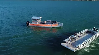 Crazy open water transfer