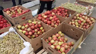 ПАХТАОБОД  БУГУНГИ  ВИДЕО