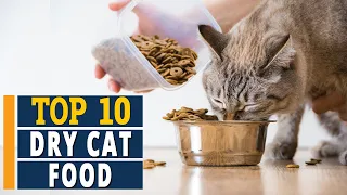 ✅ Top 10 Best Dry Cat Foods  | Ultimate Reviews in 2021