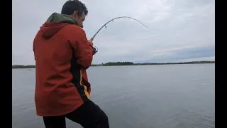 fish on the TOPWATER lure😁  Checking out a new mark - Anglesey sea fishing