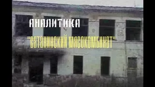 Мы засняли нечто, STALK : Аналитика видео (Сатанинский мясокомбинат)