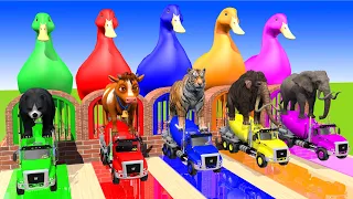 5 Giant Duck, Monkey, Piglet, Chicken, Dog, Elephant, cow, Tiger, Transfiguration funny animal 2023