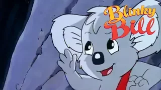 Blinky Bill - Episode 30 - Blinky Bill And The Earthquake