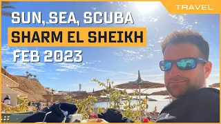 Reef Oasis Beach Resort | Sharm El Sheikh | Solo Excursion