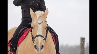 TALLIPÄIVÄ