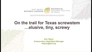 Wildlife Diversity Webinar | On the Trail for Texas Screwstem: Elusive, Tiny, Screwy